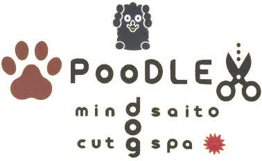  PooDLE プードル